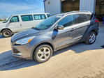 Ford Escape 2013