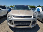 Ford Escape 2016