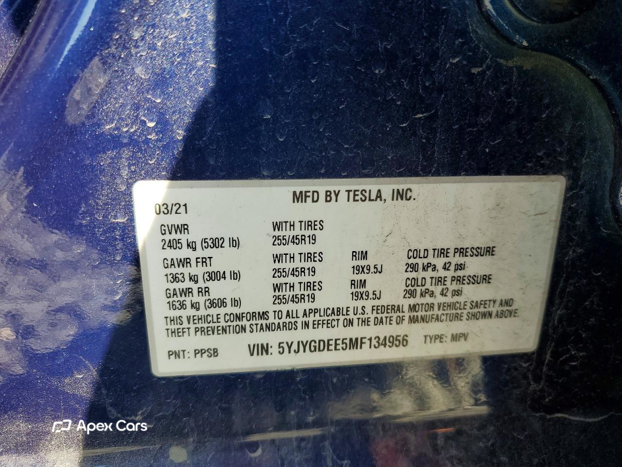 Tesla Model Y 2021