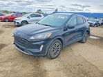 Ford Escape 2020