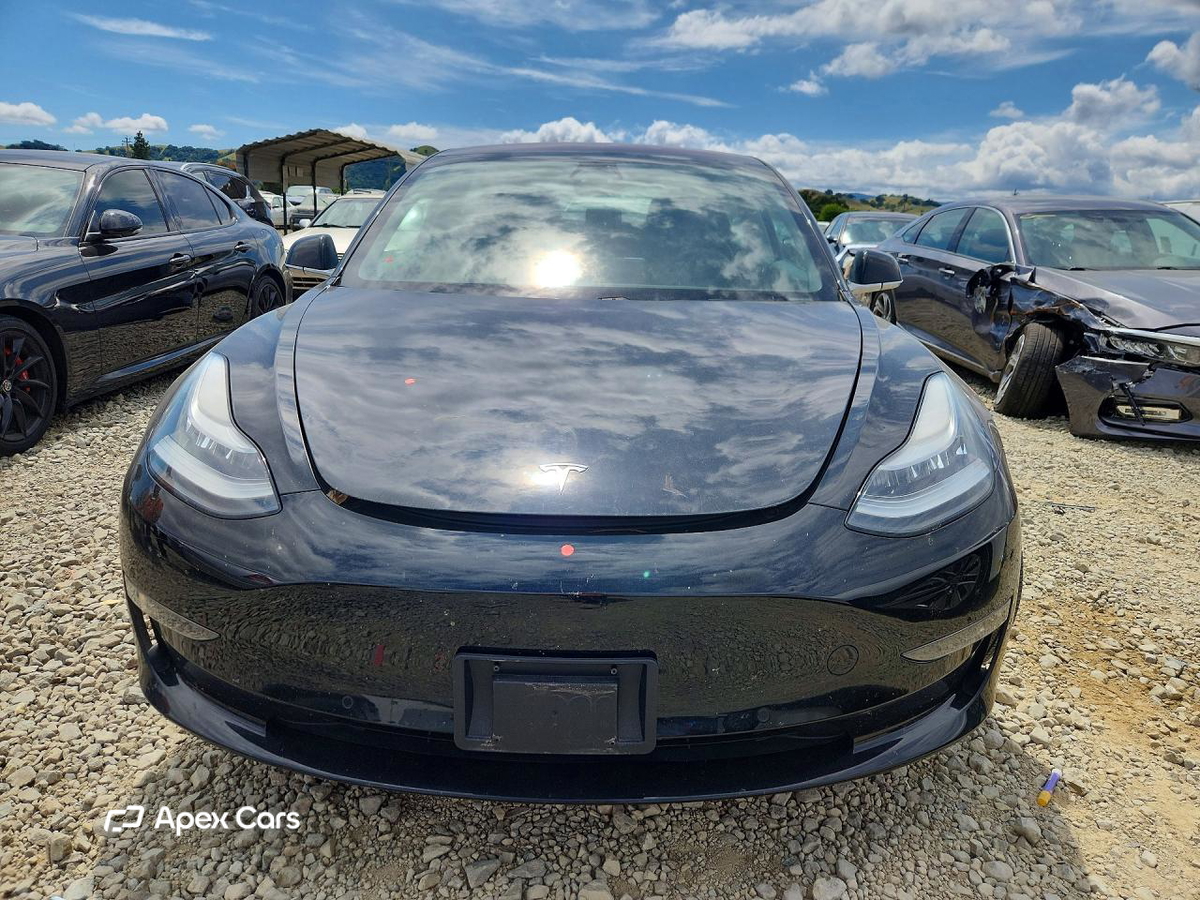 Tesla Model 3 2019