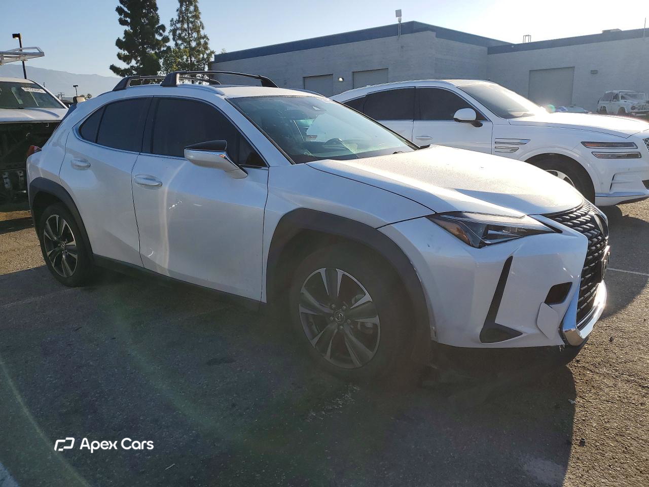 Lexus UX 2019