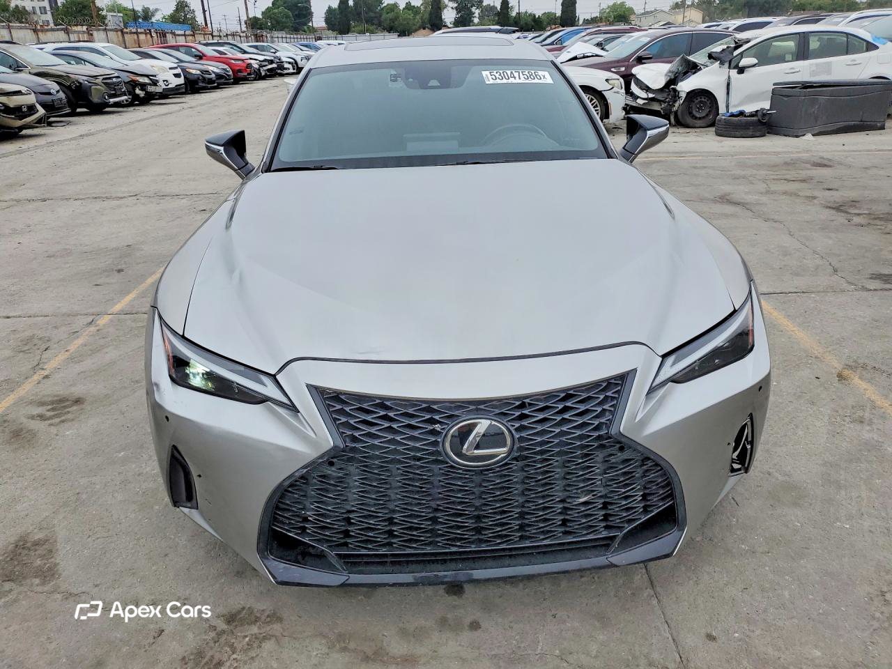 Lexus IS 2023