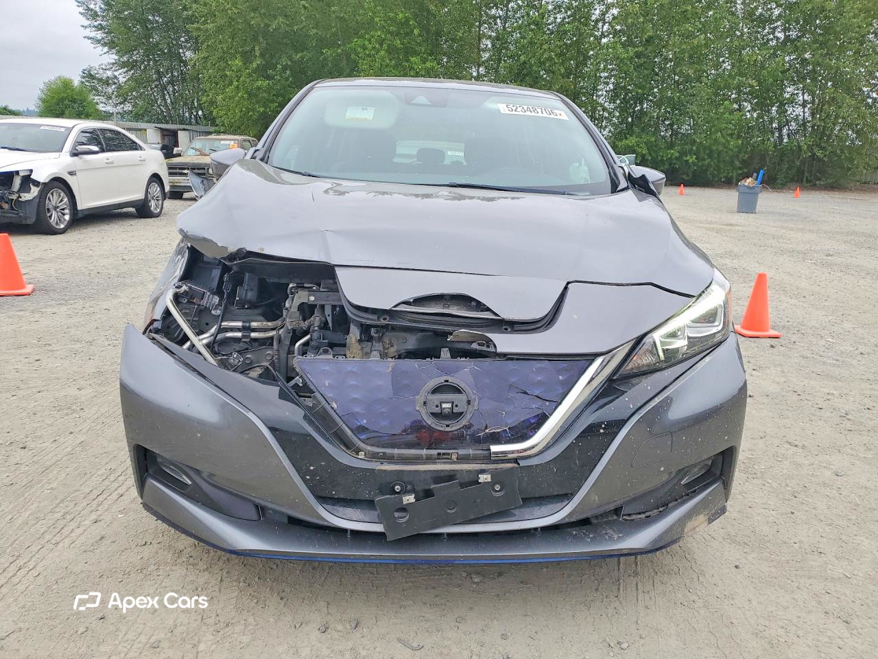 Nissan Leaf 2021