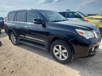 Lexus GX 2013