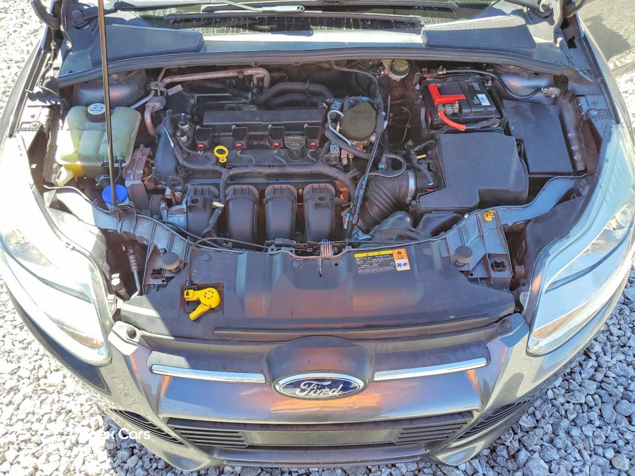 Ford Focus 2013