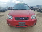 Ford Escape 2005