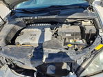 Lexus RX 2007