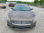 Nissan Maxima 2013
