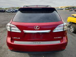 Lexus RX 2010