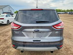 Ford Escape 2013