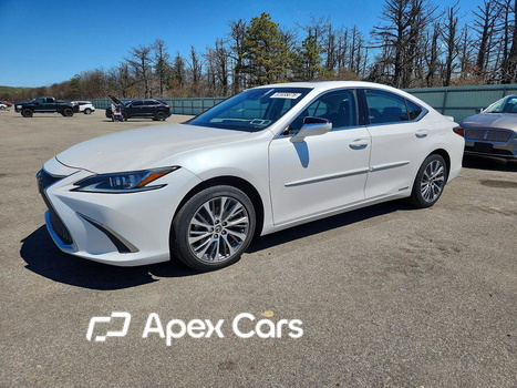 Lexus ES 2020 - Image 1 of 12
