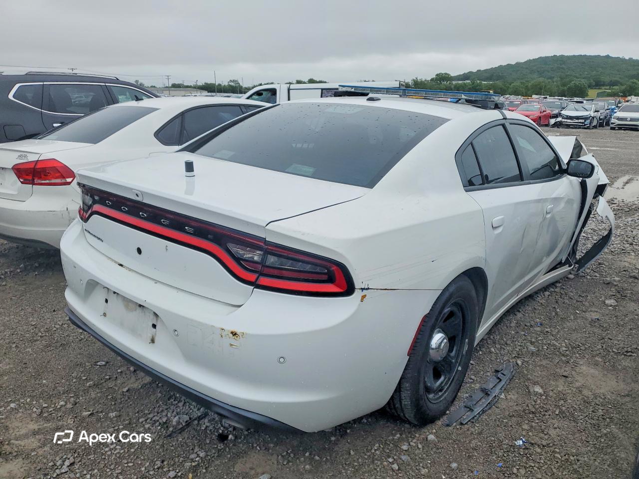 Dodge Charger 2021