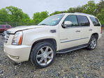 Cadillac Escalade 2007