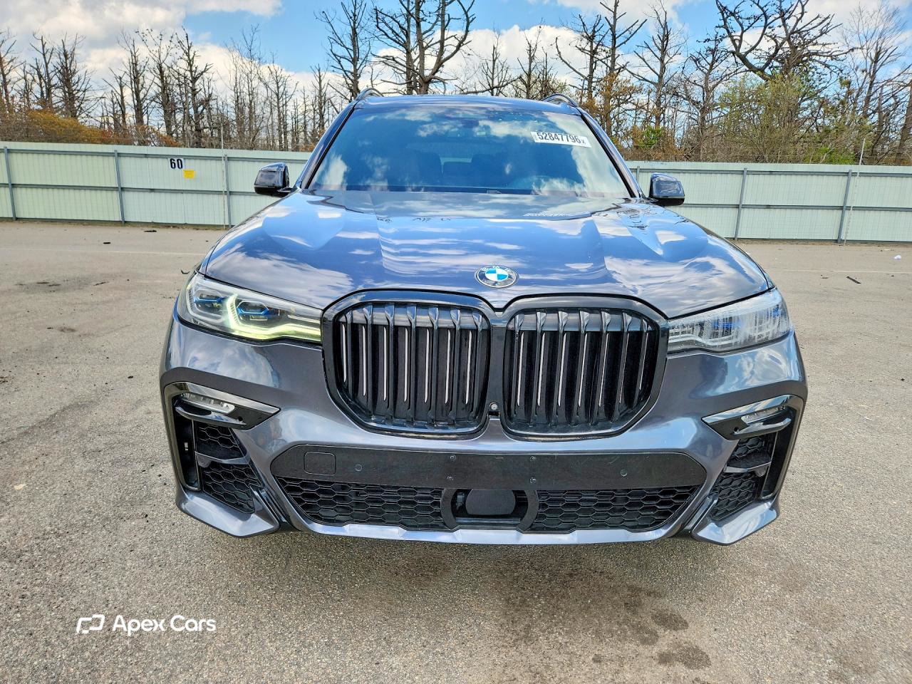 BMW X7 2019