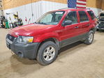 Ford Escape 2005
