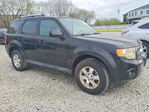 Ford Escape 2011