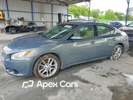 Nissan Maxima 2010 - Image 1 of 12