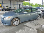 Nissan Maxima 2010