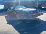 Pontiac Firebird 1981