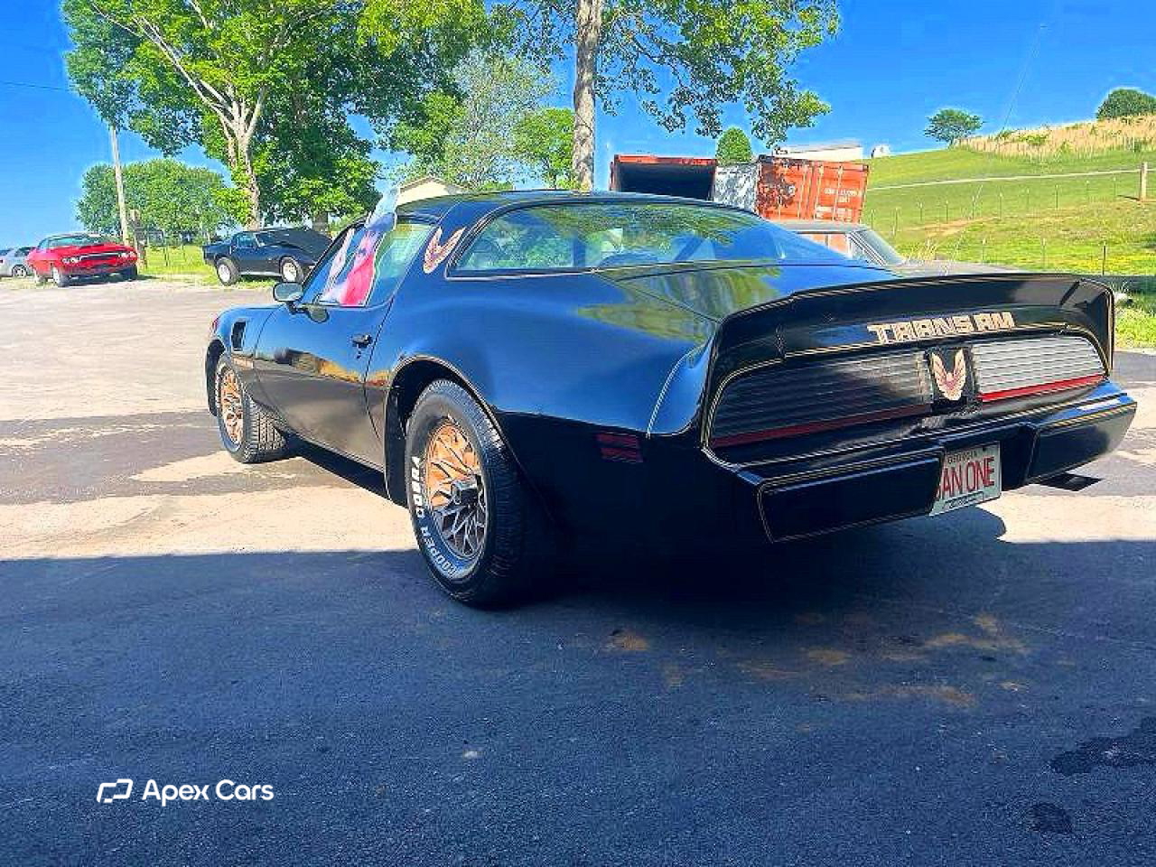 Pontiac Firebird 1981