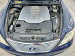 Lexus LS 2007