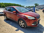 Ford Escape 2014