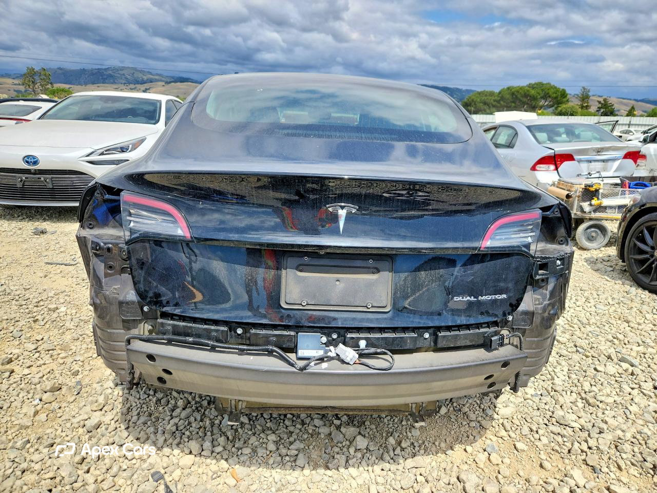 Tesla Model 3 2019
