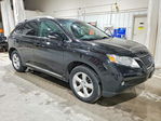 Lexus RX 2010