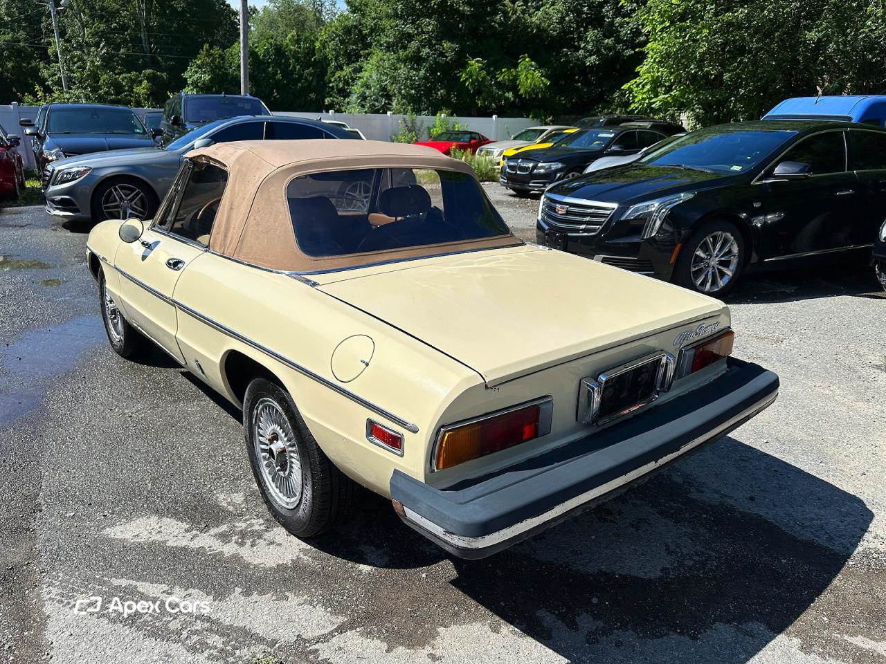 Alfa Romeo Giulia 1982