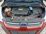 Ford Escape 2014