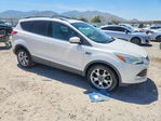 Ford Escape 2013