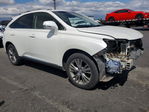 Lexus RX 2013