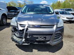 Ford Escape 2013