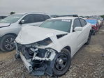 Dodge Charger 2021