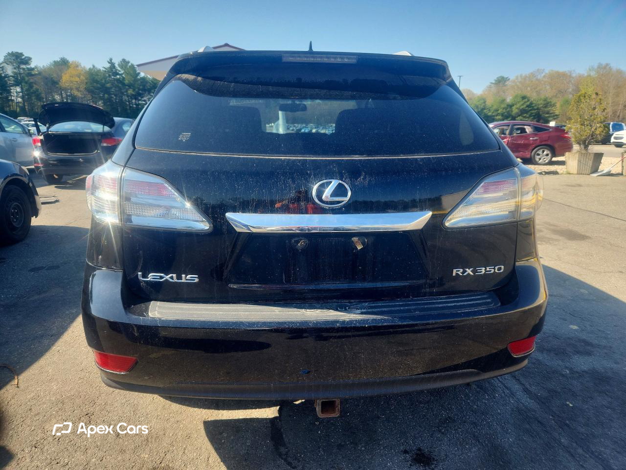 Lexus RX 2010