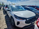 Ford Escape 2025