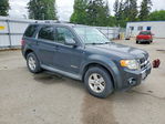 Ford Escape 2008