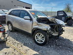 Kia Sorento 2014