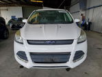 Ford Escape 2015