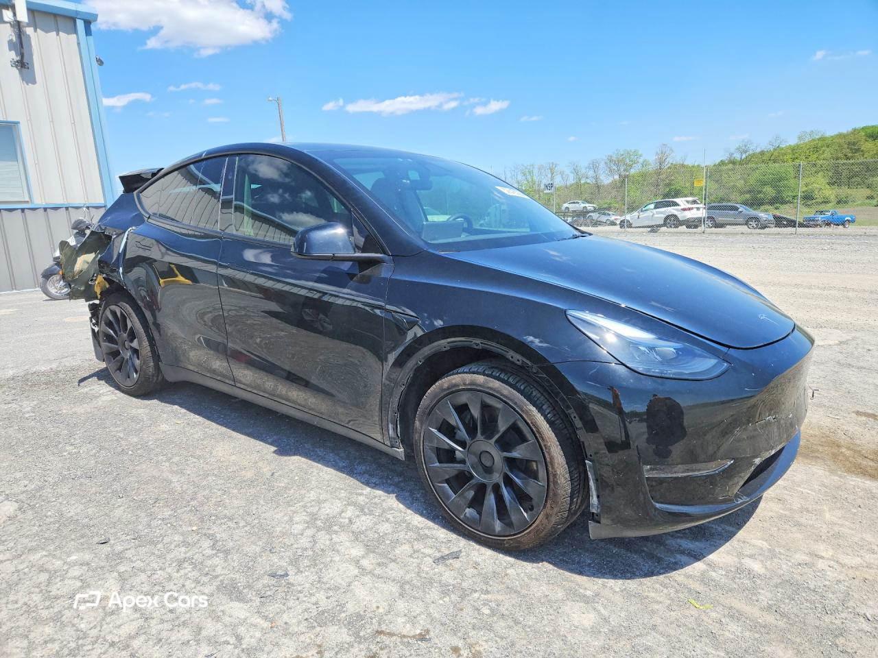 Tesla Model Y 2024