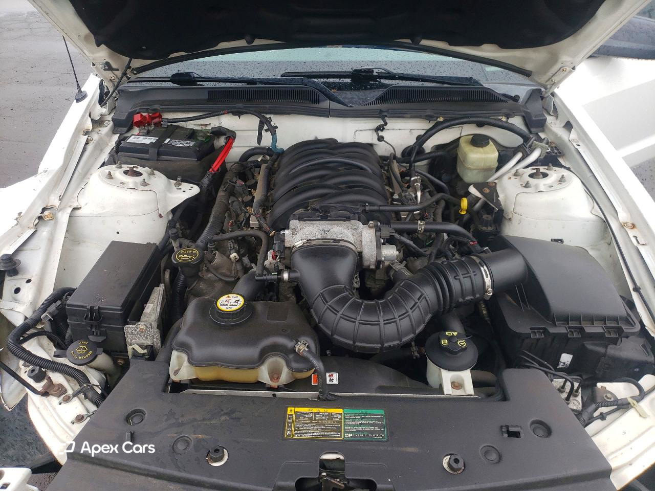 Ford Mustang 2006