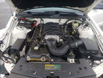 Ford Mustang 2006