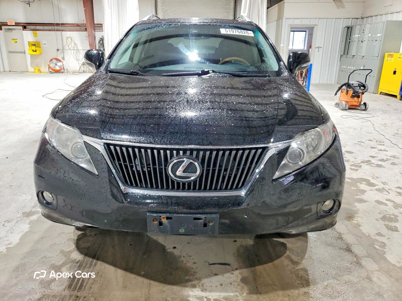 Lexus RX 2010