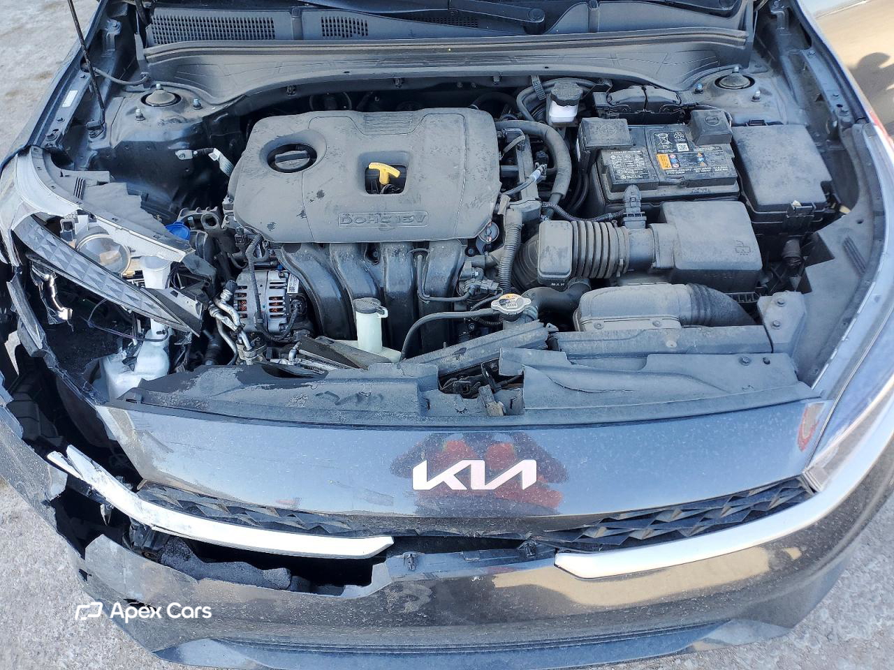 Kia Forte 2024