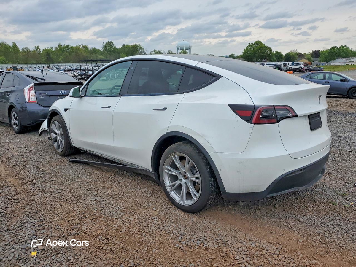 Tesla Model Y 2021