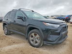 Toyota RAV 4 2025