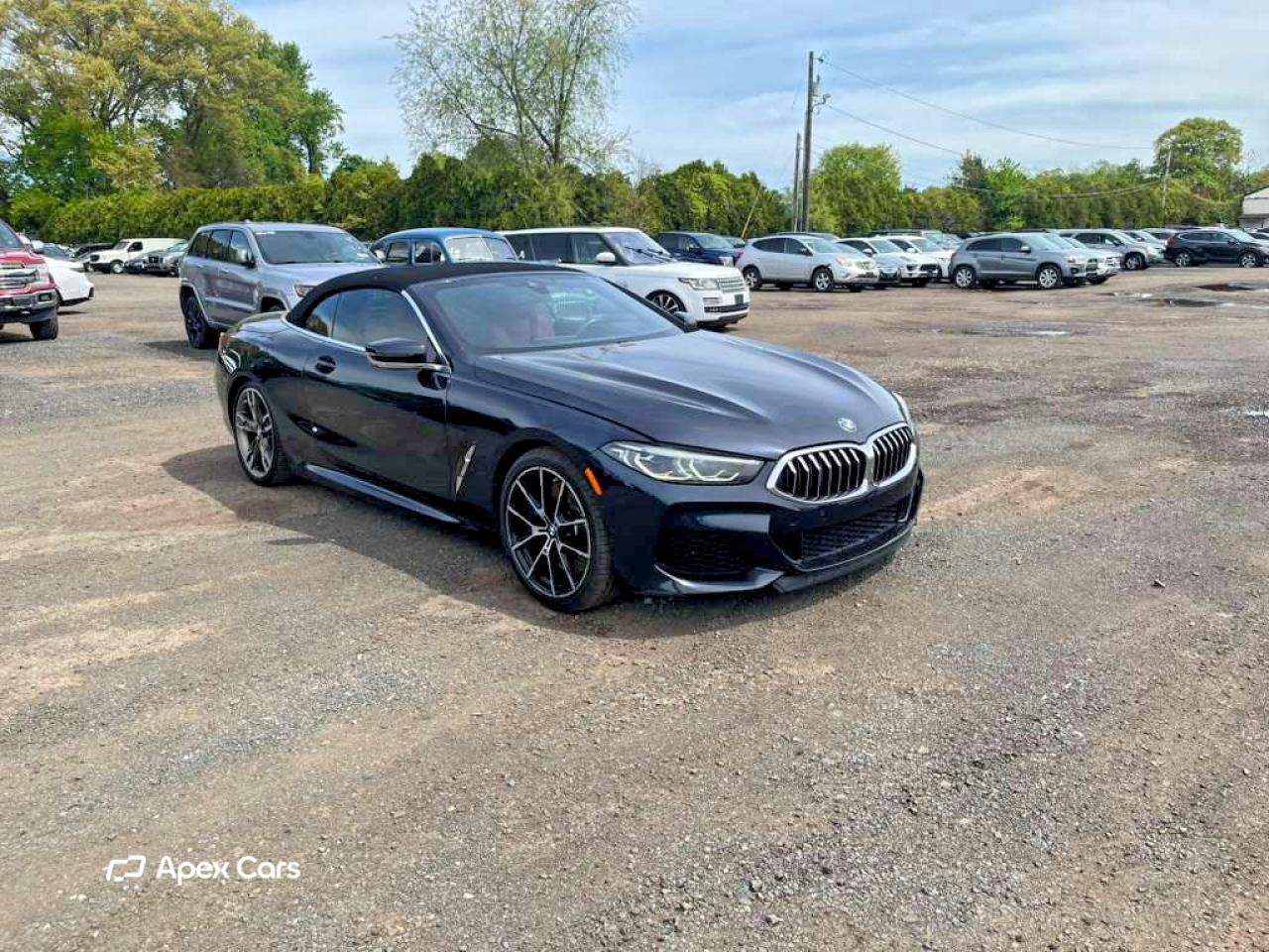 BMW M8 2019