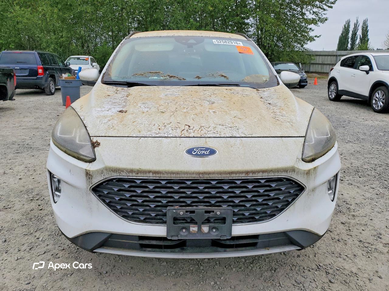 Ford Escape 2020