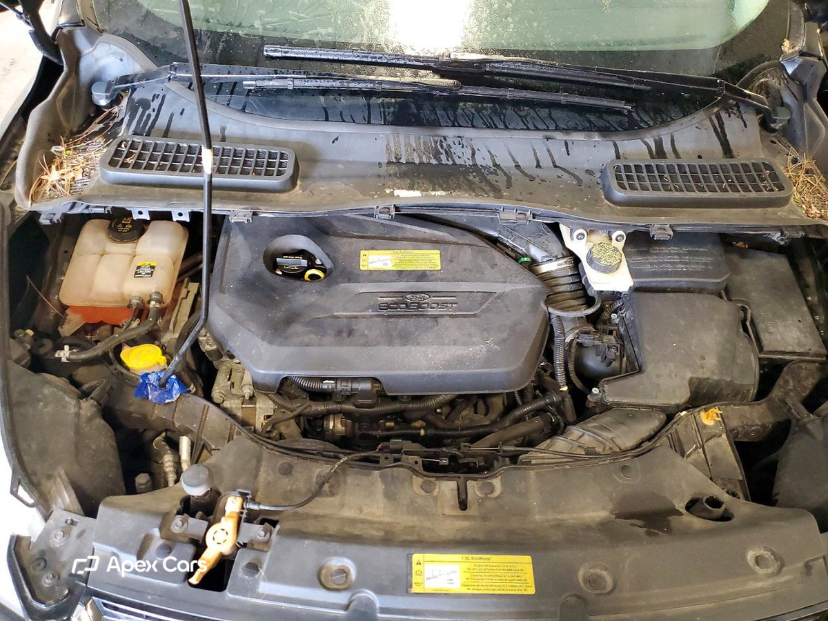 Ford Escape 2013